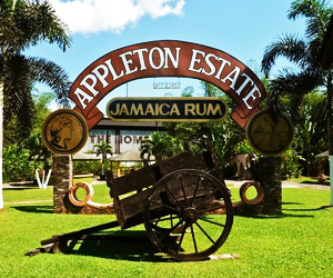 Appleton Estate Rum Tour